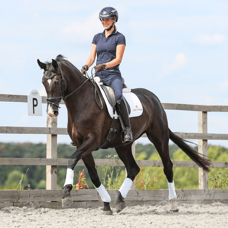 Equilibrium Stretch and Flex Flatwork Wraps - White-3